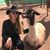 Gayle Franck Stack's profile image