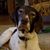 Teresa Langston Wessels's profile image