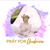Michele Wood's profile image