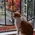 Beth T Page's profile image