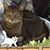 Nancy Trey's profile image