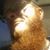 Adam Darr's profile image
