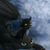 Michele Gilbert's profile image