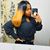 Janae Brianna's profile image