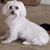 Brenda Andersen's profile image