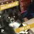 Kimberly LaVine Criswell's profile image