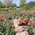 Jillian Pierdomenico's profile image