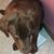 Jerry Wade Ehrhardt's profile image
