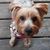 Ginger Pratt Cobl's profile image