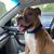 Sara Bailor's profile image