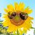 Tina Mae Straley's profile image