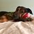 Cheri Sintay's profile image