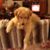 Mark Smith's profile image