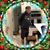 Barbara S. Hunt Fetty's profile image