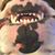 Tina Mix Berrios's profile image