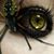 Julie Eckert Coutts's profile image