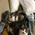 Lisa Welling Moore's profile image