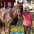 Pam Baribeau DeHaan's profile image