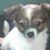 Cathy Farnam's profile image
