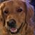 Leslie Allgaier's profile image
