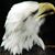 Dave Sloan's profile image