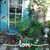 Donna L Wheeler's profile image