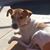 Roxanne Rome Worak's profile image