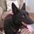 Maria Cristina Mendez-Tissot's profile image