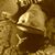 Kristopher Charles Dionne's profile image