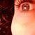 Jessica Johnson Boland's profile image