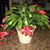 Sandy Overmyer's profile image