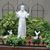 Irma Petrosino's profile image