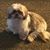 Carol Adams's profile image