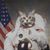Michael Bluthe's profile image