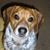 Carey LeighAnn Williams's profile image