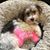 Tabatha Mills Hunter's profile image