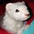 Jenny Bennett Peterson's profile image