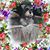 Myrtice Connell's profile image