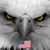 Nelson L. Mendez's profile image