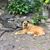Joyce Ayres Murray's profile image