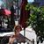 Kathy Zingone's profile image