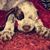 Jenny Kreutzer's profile image