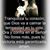 Laura Munive's profile image