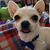 Phyllis Sluman's profile image