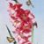 Diane Shatterly's profile image
