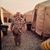 Jason Camarda's profile image