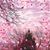 Deb Thornton's profile image