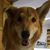 Sarah Dawson's profile image