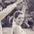 Ashley Wilcox Evans's profile image