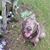 Robie Wagester's profile image